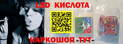 молекула духа Будённовск