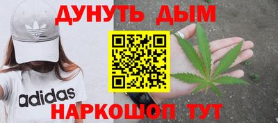 молекула духа Будённовск