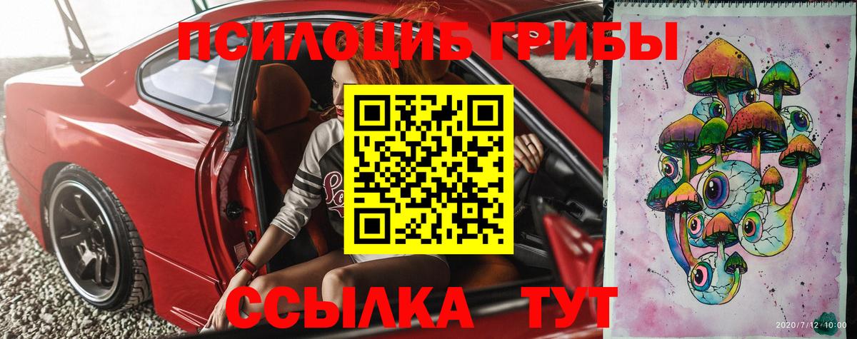купить   Вход с VPN  Рубцовск  Галлюциногенные грибы Magic Shrooms 